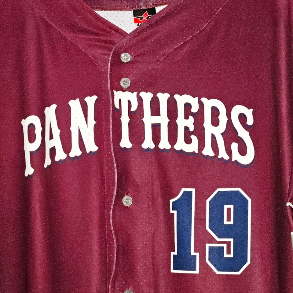 Men's XL Panthers Full Button Baseball Jersey Harris 19